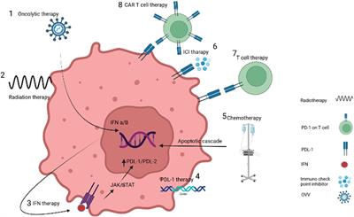 Recent progress in combination therapy of oncolytic vaccinia virus